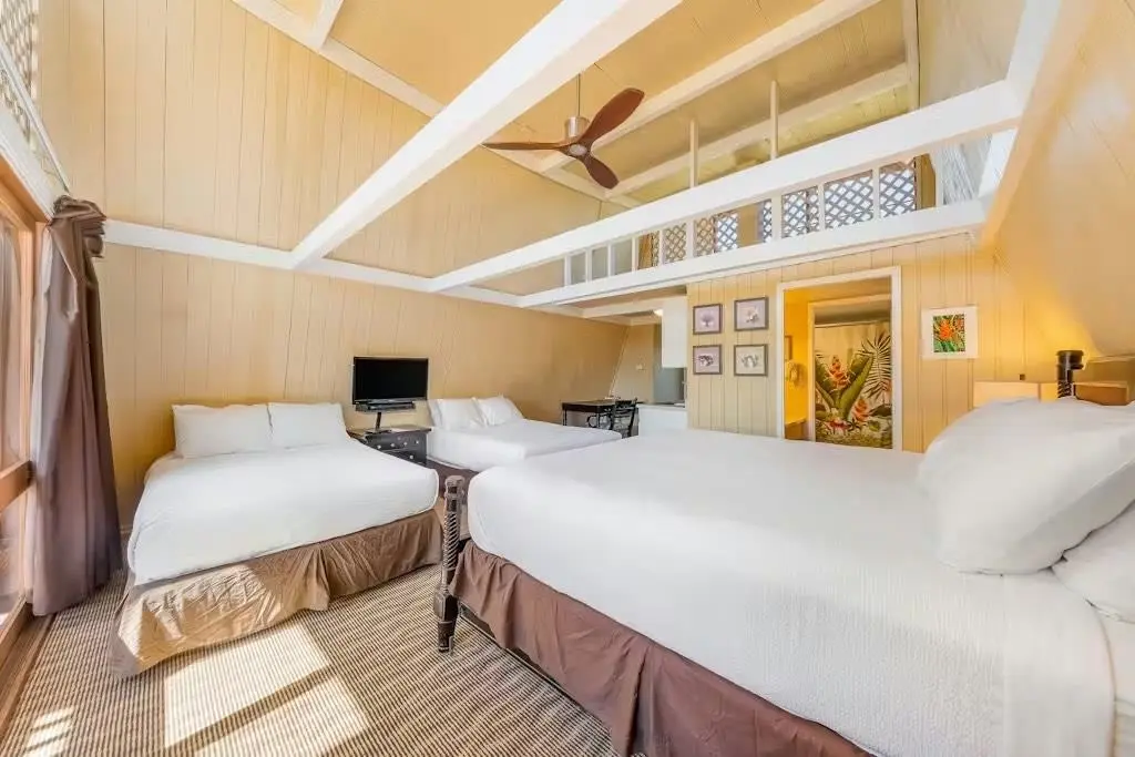 Photo of Listing #408271