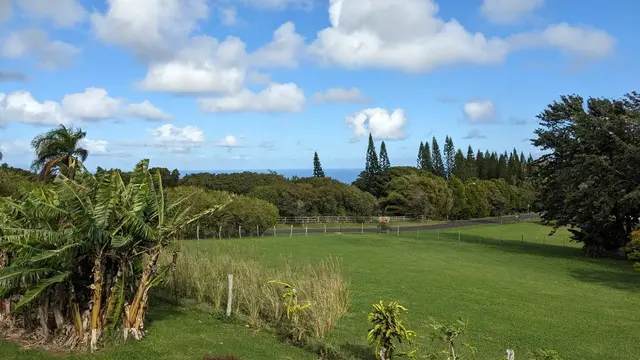Listing Image for 134 Uakoko Pl 46 of 48