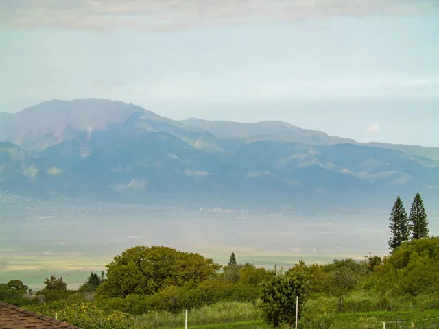 Listing Image for 197 Lei Ohu Cir 20 of 50