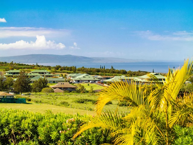 Listing Image for 197 Lei Ohu Cir 25 of 50