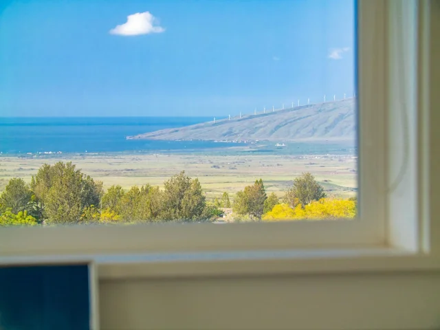 Listing Image for 197 Lei Ohu Cir 35 of 50