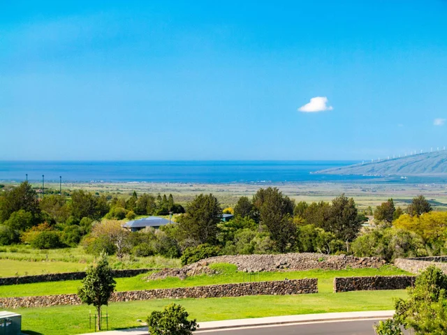 Listing Image for 197 Lei Ohu Cir 39 of 50