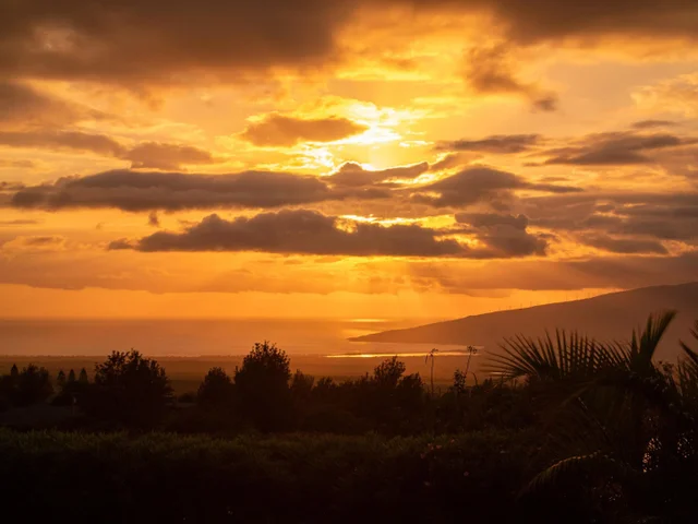 Listing Image for 197 Lei Ohu Cir 46 of 50