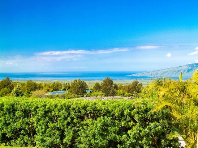 Listing Image for 197 Lei Ohu Cir 48 of 50