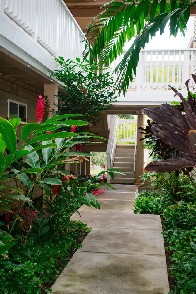 Listing Image for 64 Kunihi Ln 324 2 of 31