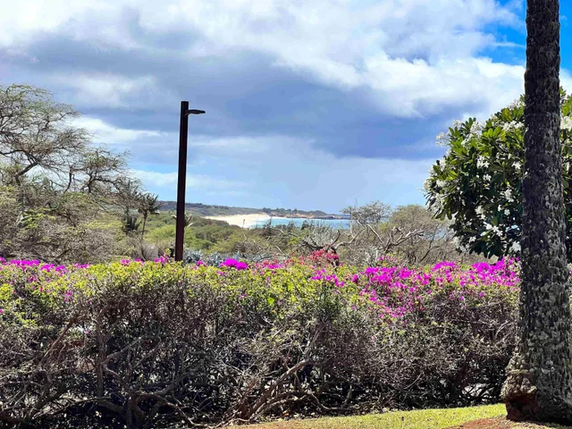 Listing Image for 50 Kepuhi Pl Unit 127 13 of 20