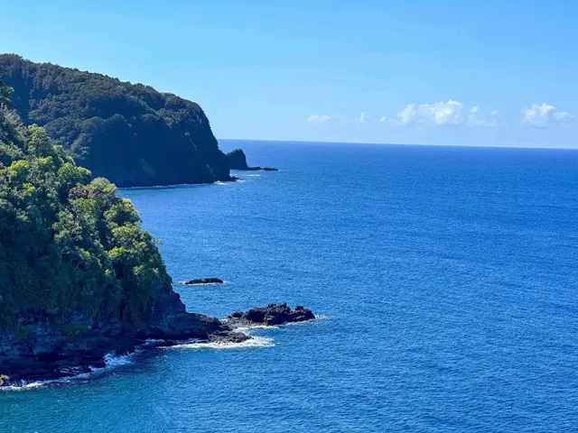 Listing Image for 13895 Hana Hwy 18 of 23