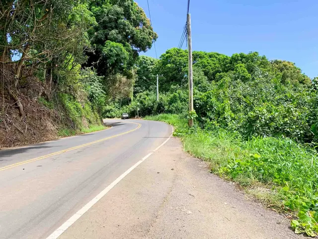 Listing Image for 13895 Hana Hwy 19 of 23