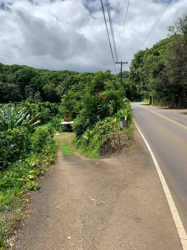 Listing Image for 13895 Hana Hwy 22 of 23