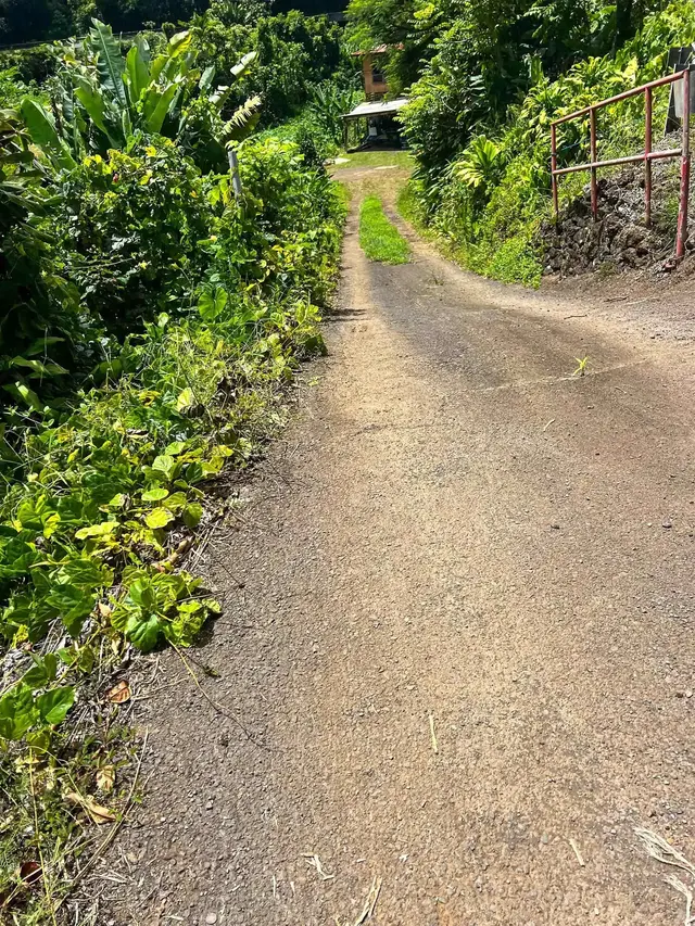Listing Image for 13895 Hana Hwy 23 of 23