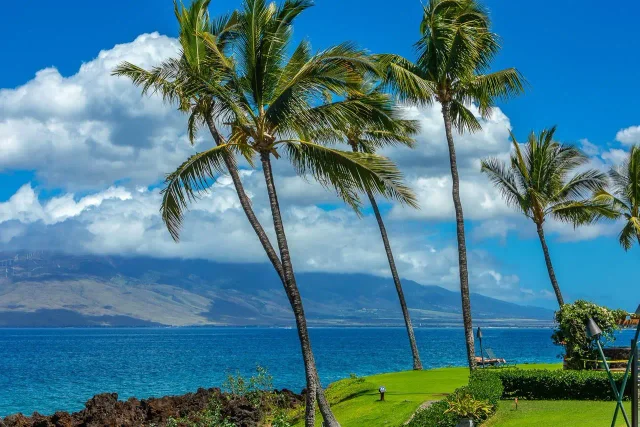 Listing Image for 2936 S Kihei Rd 613 45 of 47