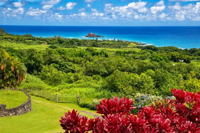 Listing Image for 37 & 213 Kapia Rd 4 of 50