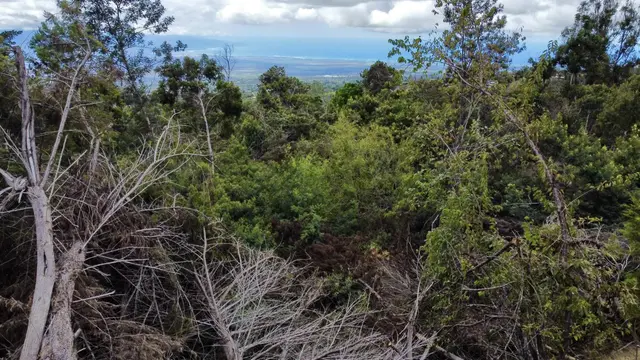 Listing Image for Haleakala Hwy Lot 32-b 4 of 7