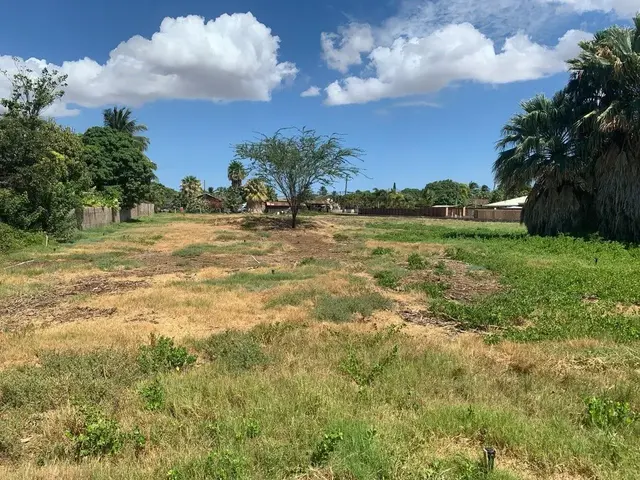 Listing Image for 16 E Waipuilani Rd 11 of 11