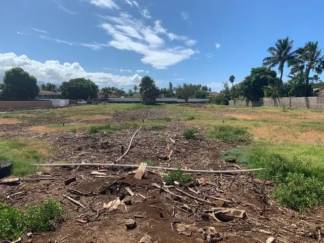 Listing Image for 16 E Waipuilani Rd 6 of 11