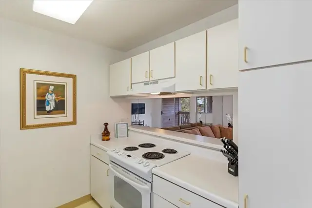 Listing Image for 45 Kapi Ln 9-203 15 of 36