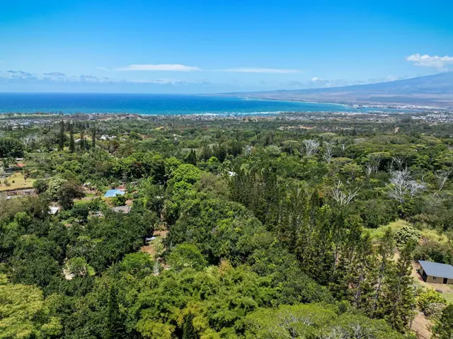 Listing Image for 1368 Malaihi Pl 1 of 8