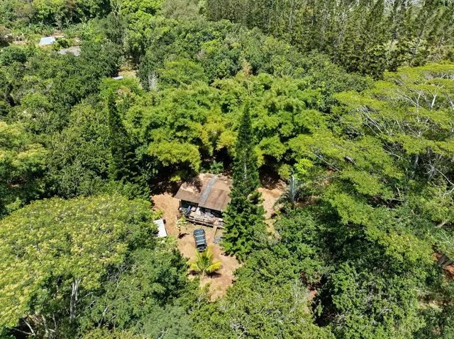 Listing Image for 1368 Malaihi Pl 6 of 8