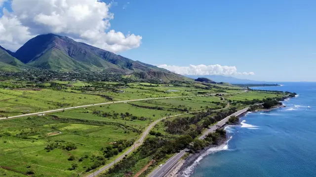 Listing Image for 1510 Waianukole St A 1 of 2