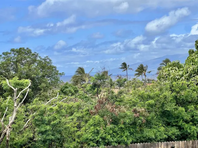 Listing Image for 3740 Lower Honoapiilani Rd G203 1 of 14