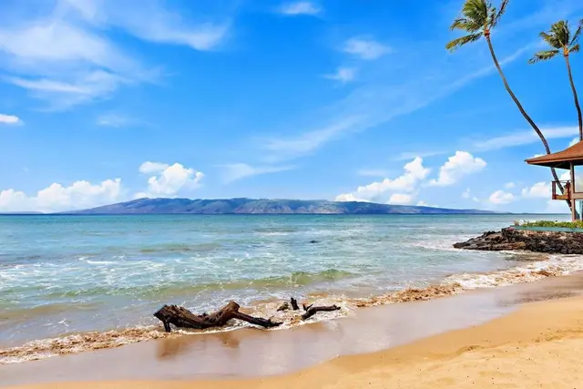 Listing Image for 3750 Lower Honoapiilani Rd 202 9 of 22