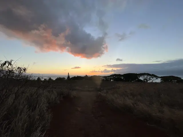 Listing Image for 0 Honoapiilani Hwy 10 of 13