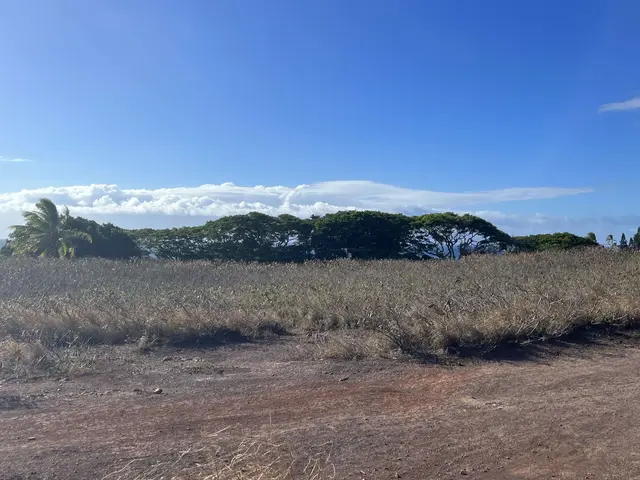 Listing Image for 0 Honoapiilani Hwy 4 of 13