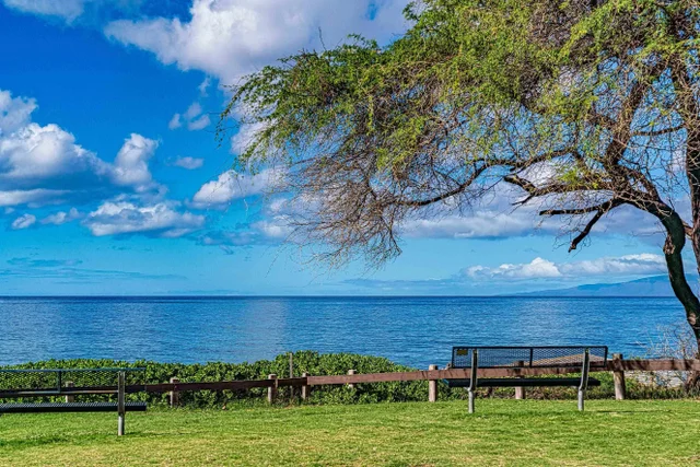Listing Image for 2695 S Kihei Rd 5-303 29 of 41
