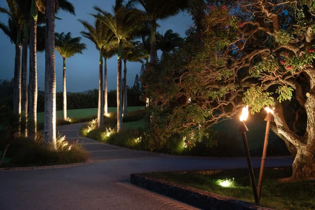 Listing Image for 215 Plantation Club Dr 37 of 50