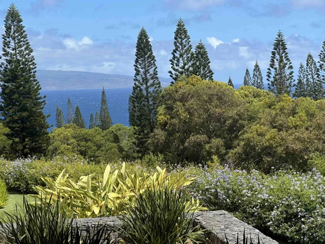 Listing Image for 215 Plantation Club Dr 44 of 50