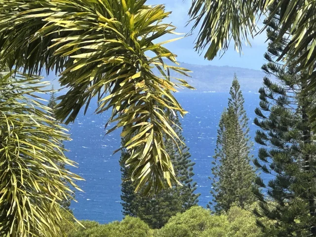 Listing Image for 215 Plantation Club Dr 46 of 50