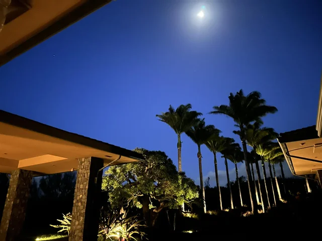 Listing Image for 215 Plantation Club Dr 48 of 50