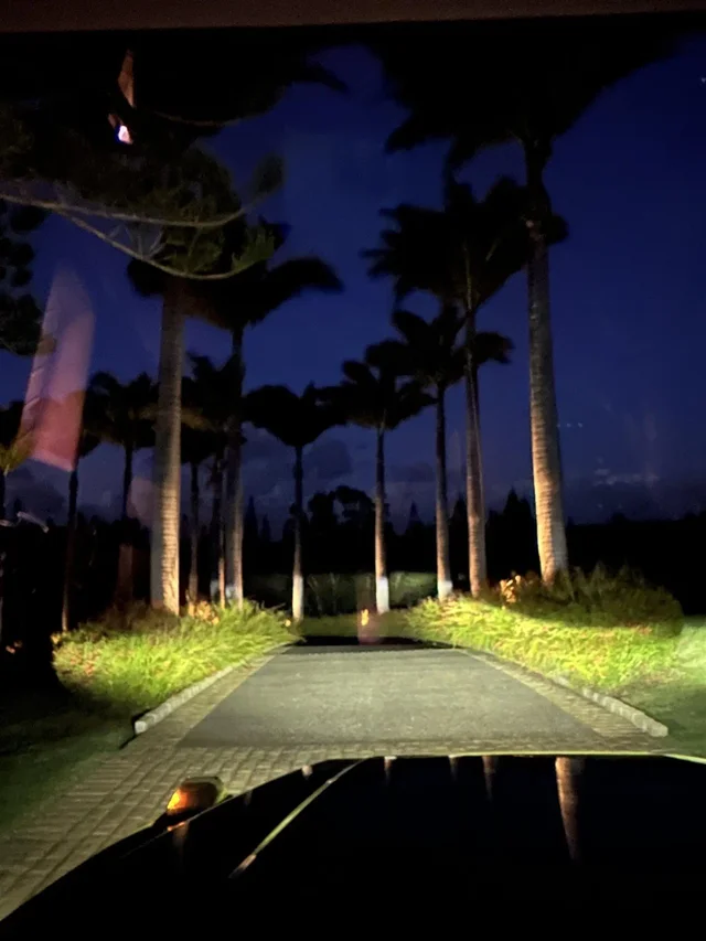 Listing Image for 215 Plantation Club Dr 50 of 50