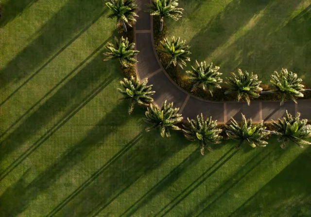 Listing Image for 215 Plantation Club Dr 7 of 50