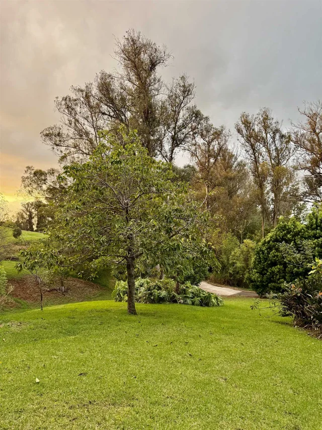 Listing Image for 2400 Piiholo Rd 11 of 39