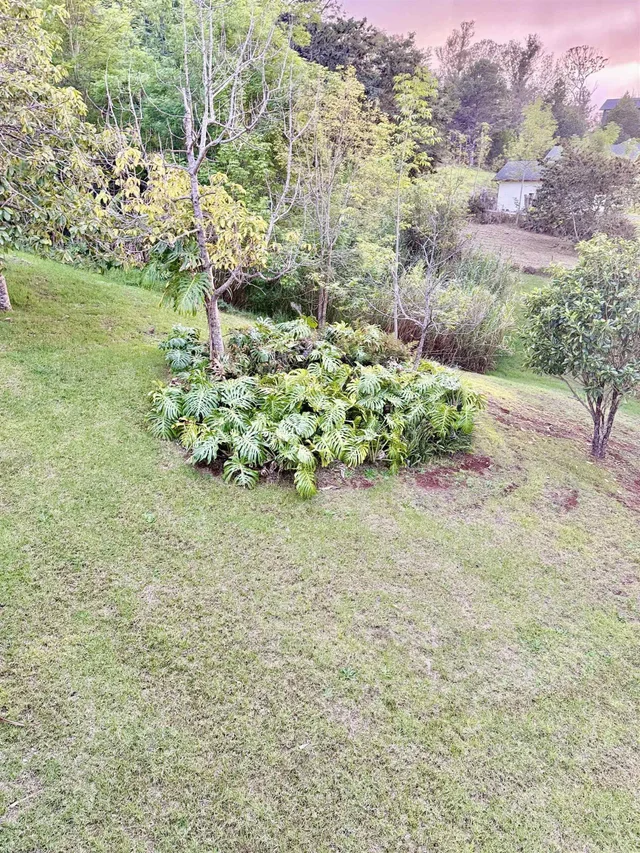 Listing Image for 2400 Piiholo Rd 15 of 39