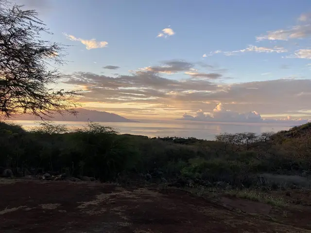 Listing Image for 6925 Kamehameha V Hwy 1 of 33