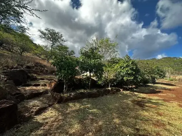 Listing Image for 6925 Kamehameha V Hwy 21 of 33