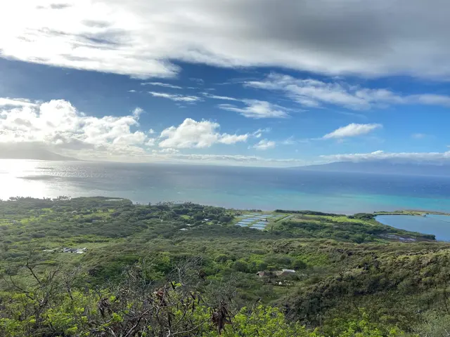 Listing Image for 6925 Kamehameha V Hwy 30 of 33