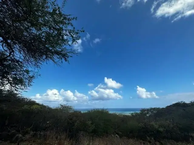 Listing Image for 6925 Kamehameha V Hwy 31 of 33