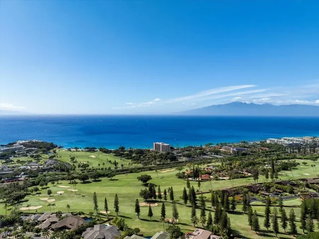 Listing Image for 50 Puu Anoano St 3408 38 of 45