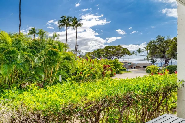 Listing Image for 2653 S Kihei Rd 105 4 of 50