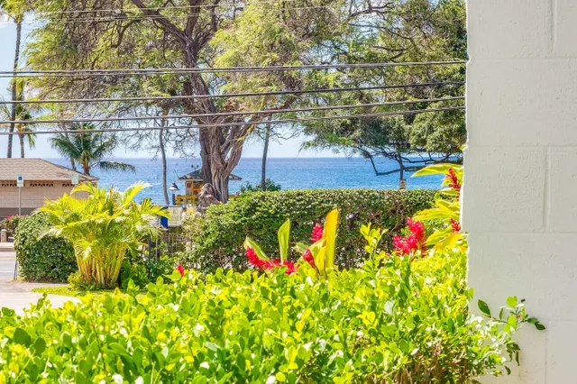 Listing Image for 2653 S Kihei Rd 105 44 of 50