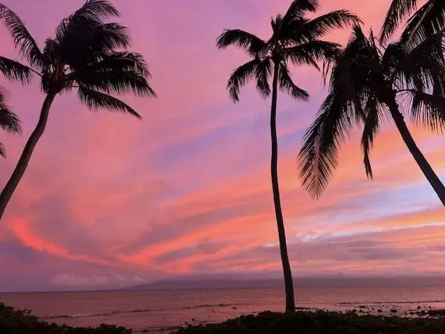 Listing Image for 7146 Kamehameha V Hwy B304 13 of 15