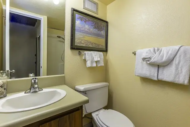 Listing Image for 2191 S Kihei Rd 2416 14 of 43