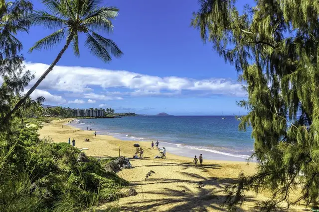 Listing Image for 2191 S Kihei Rd 2416 27 of 43