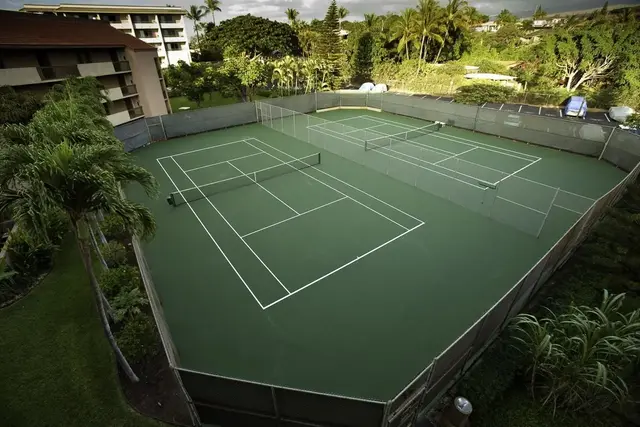 Listing Image for 2191 S Kihei Rd 2416 38 of 43