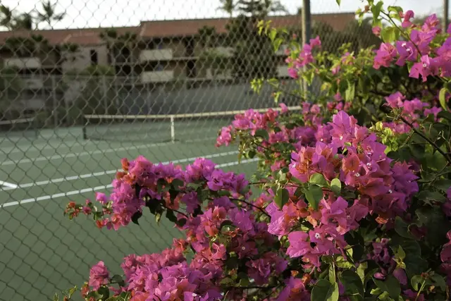 Listing Image for 2191 S Kihei Rd 2416 39 of 43
