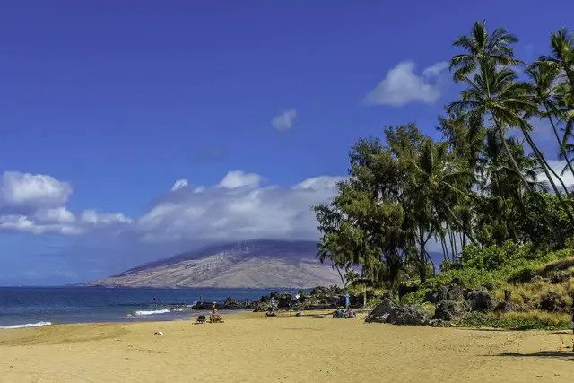 Listing Image for 2191 S Kihei Rd 2416 40 of 43