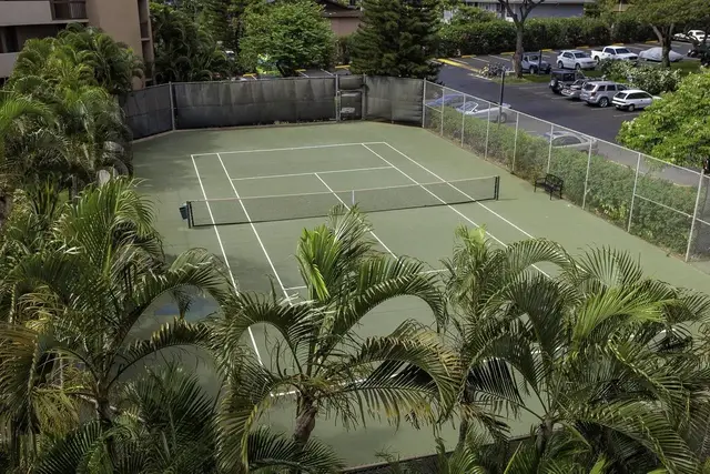 Listing Image for 2191 S Kihei Rd 2416 43 of 43